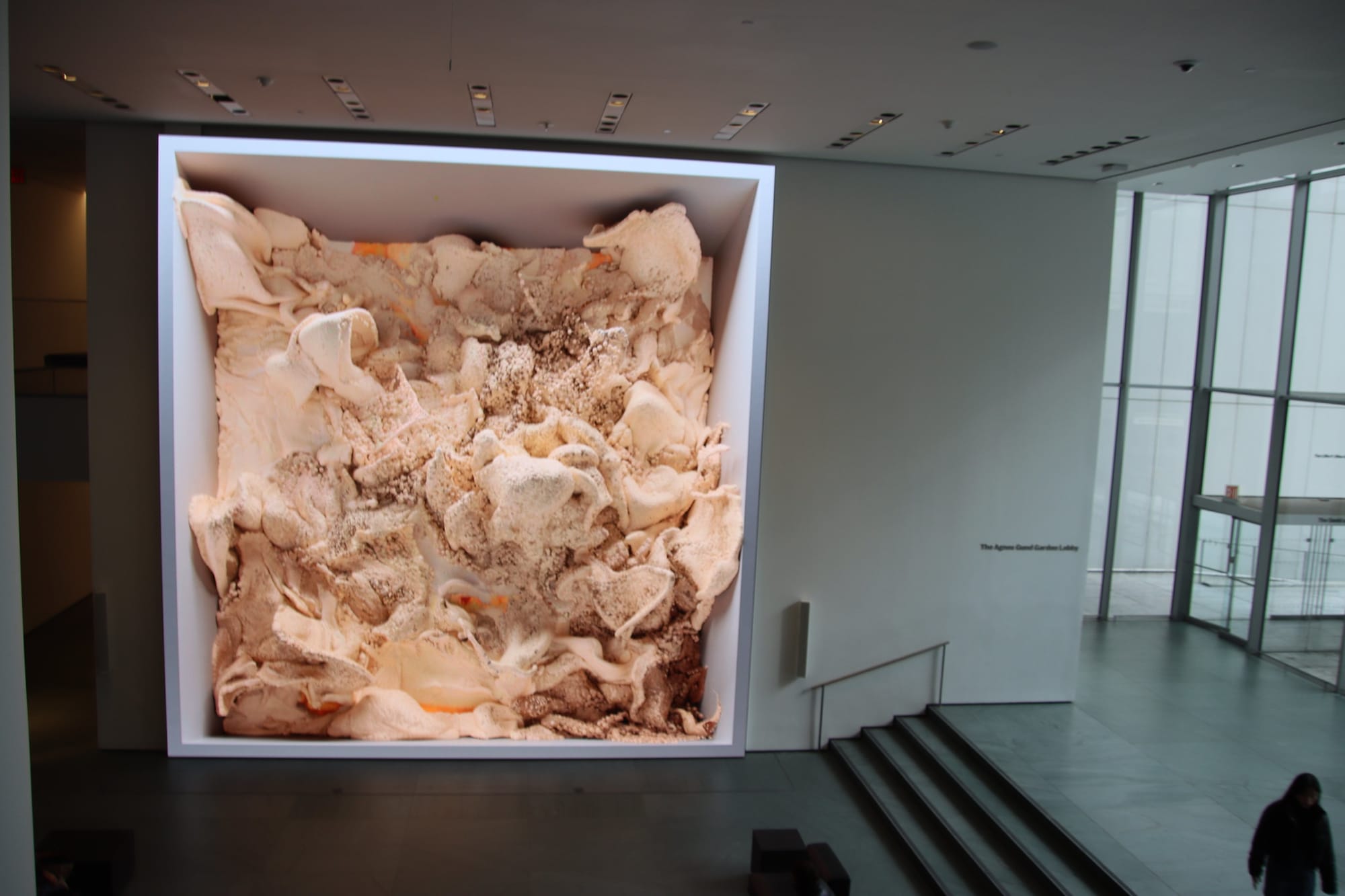 Installation view of Refik Anadol: Unsupervised, on view at The Museum of Modern Art, New York