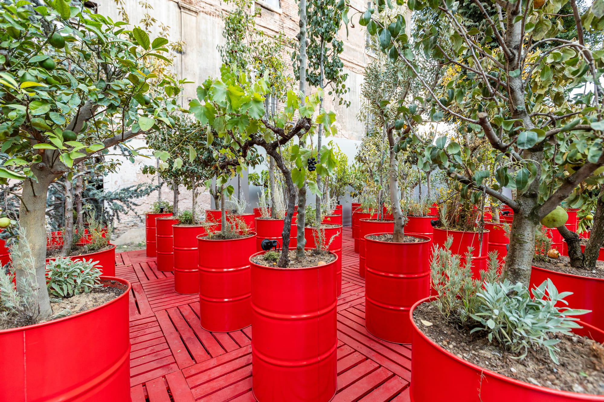 Khalil Rabah's installation of red pipelines, pallets, and trees arranged in a provisional nursery.