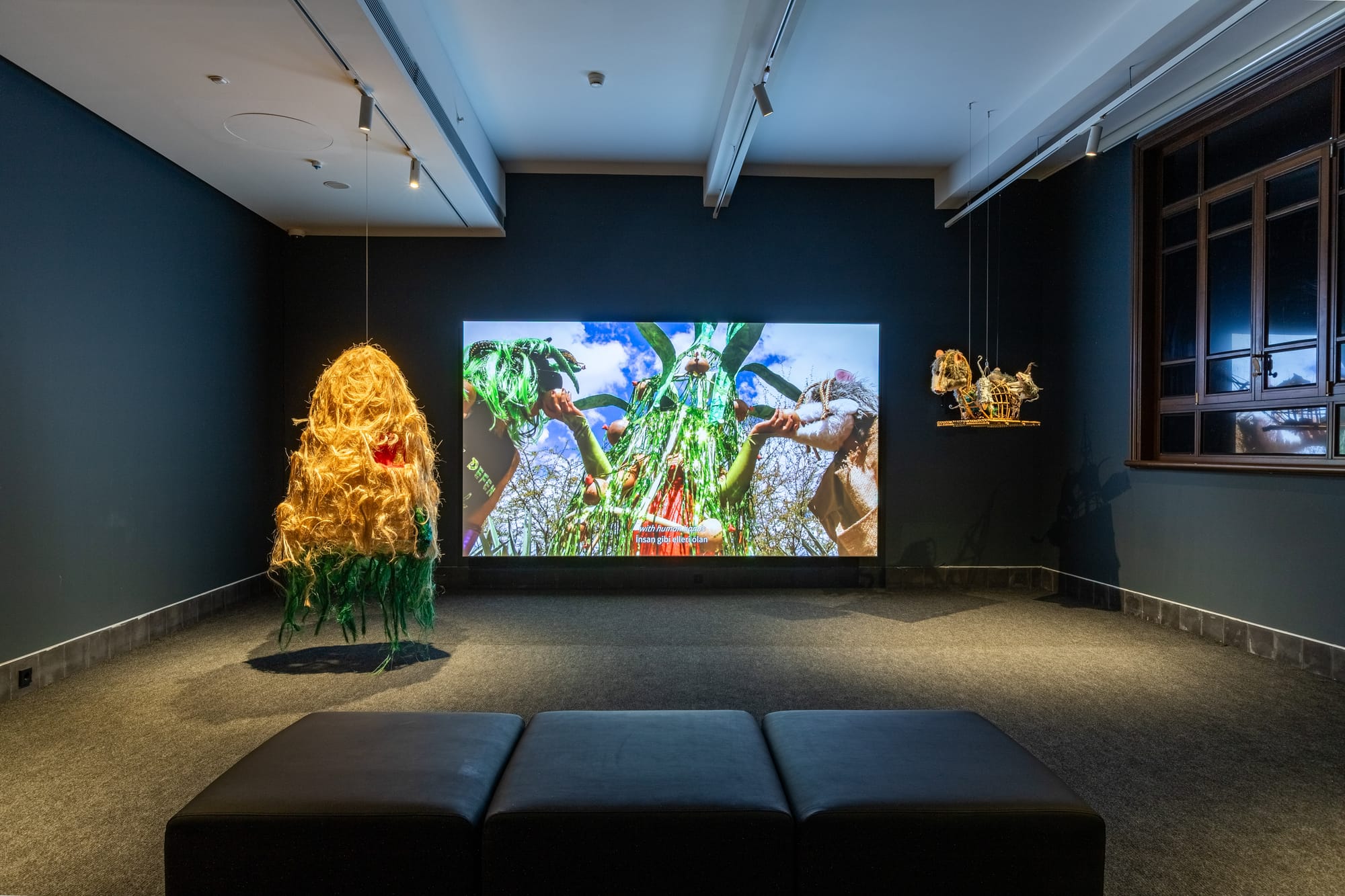 Naomi Rincón-Gallardo’s politically critical video installation, inspired by the Mexican state Oaxaca.