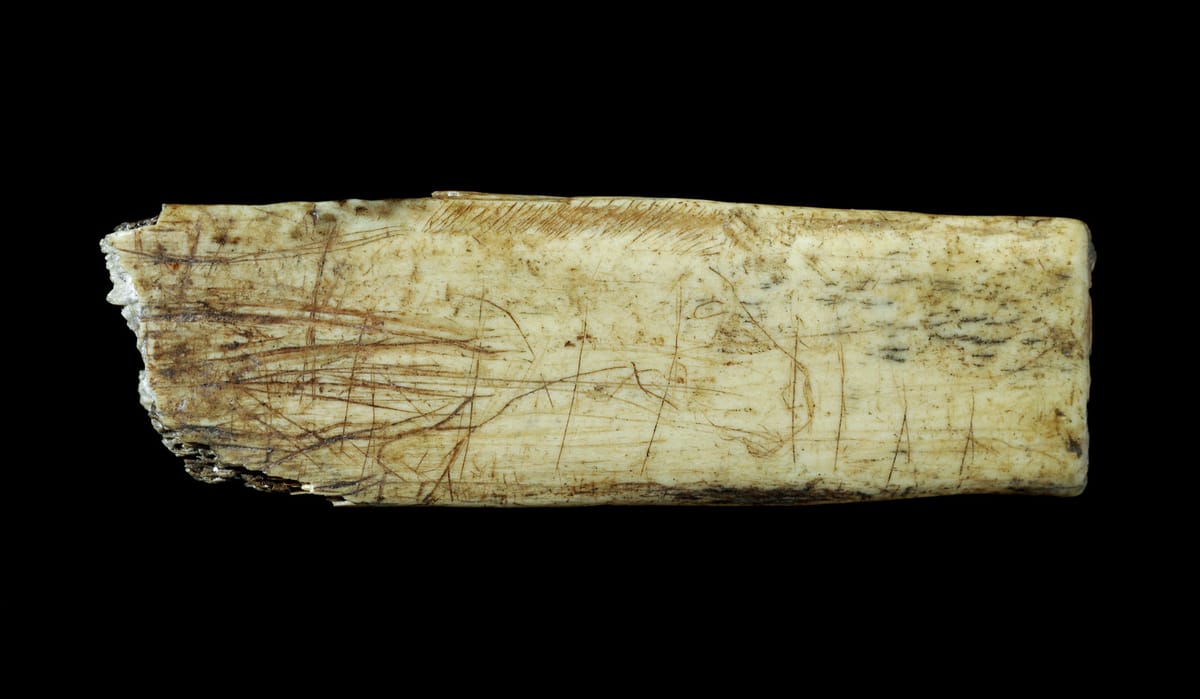 Ice Age Art in Bradford: What the Oldest Artworks Still Tell Us