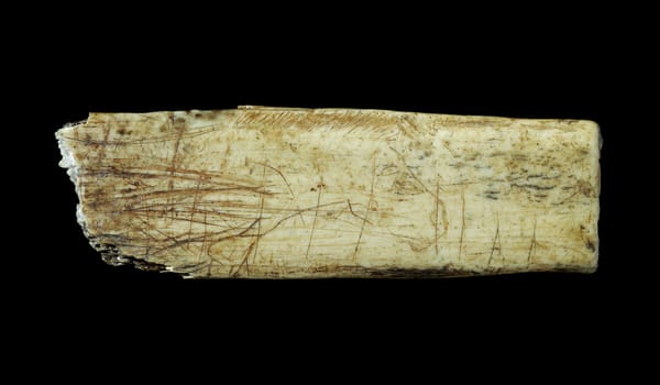 Ice Age Art in Bradford: What the Oldest Artworks Still Tell Us